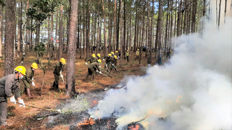 Bảo Lâm: Hơn 100 người tham gia diễn tập phòng cháy chữa cháy rừng