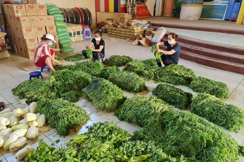 Hàng ngàn người dân Lâm Đồng đã tham gia thu hoạch rau, hiến tặng vườn rau gửi cho đồng bào vùng dịch.
