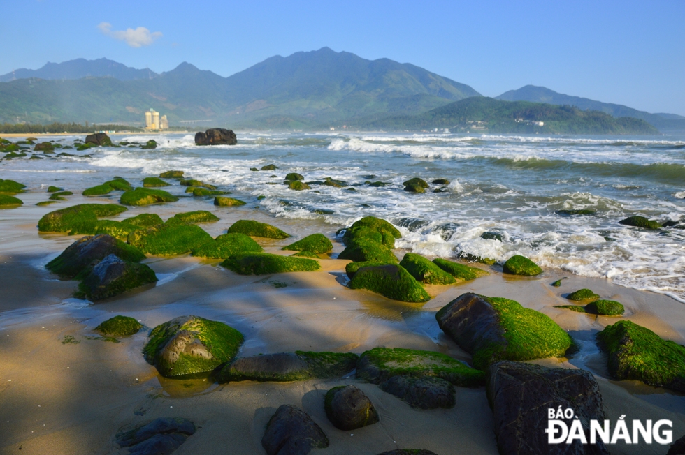 Ghềnh đá Nam Ô nổi tiếng bởi những tảng đá nhiều hình thù, nằm trải dài dọc bờ biển và được rêu xanh bao phủ khi vào mùa.
