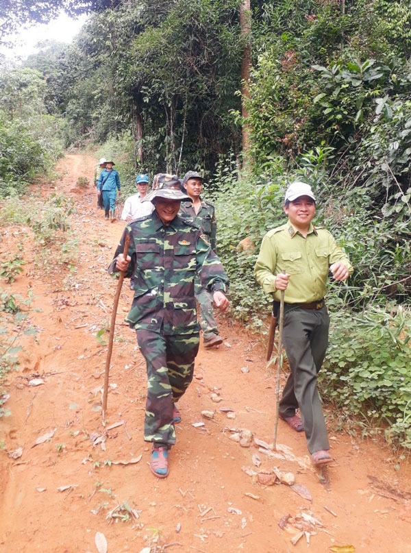 Một chuyến tuần tra rừng của các lực lượng chức năng huyện Đạ Huoai