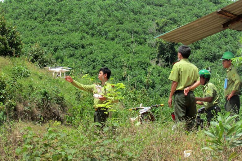 Hạt Kiểm lâm huyện Đạ Tẻh quan sát rừng bằng flycam. 