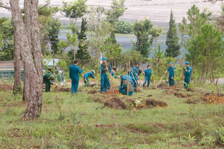 Lực lượng dân quân tự vệ tham gia trồng cây bảo vệ môi trường xanh - sạch - đẹp