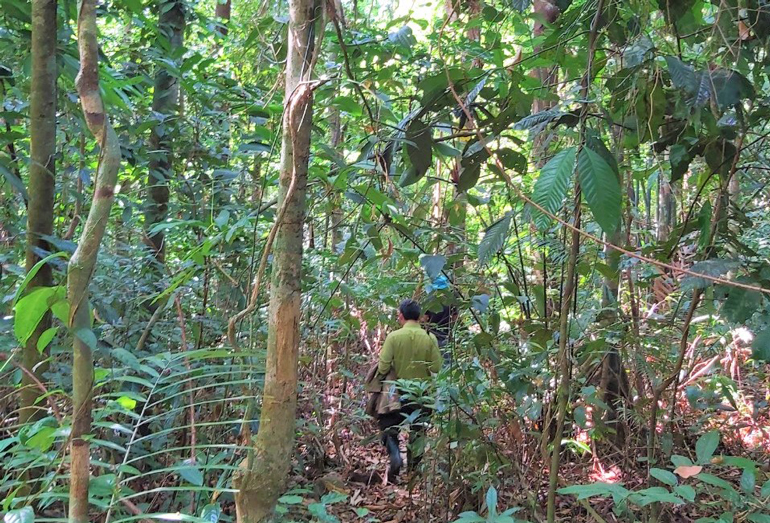 Bảo Lộc: Tăng cường sự lãnh đạo của Đảng trong công tác quản lý, bảo vệ rừng