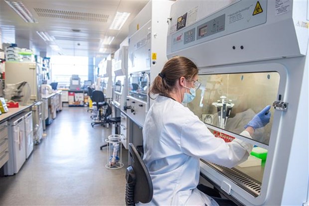 Nhân viên làm việc tại phòng thí nghiệm nghiên cứu vaccine ngừa COVID-19 tại trường đại học Oxford, Anh.