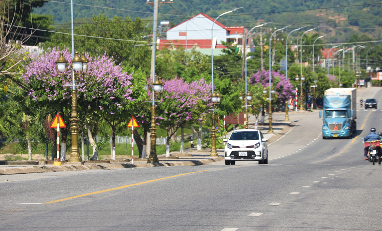 Đường Hùng Vương (Quốc lộ 20) đoạn qua bờ hồ Mađaguôi (thị trấn Mađaguôi) phủ tím hoa bằng lăng 