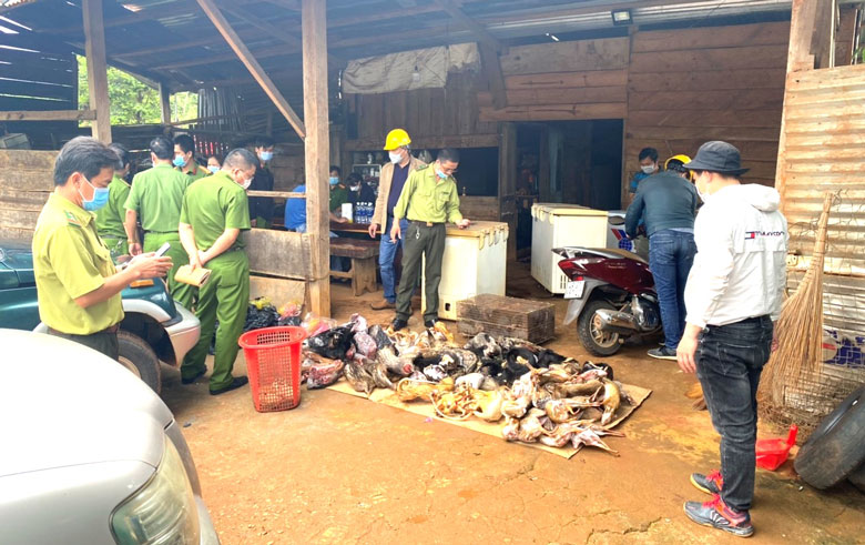 Cơ quan chức năng kiểm tra, bắt quả tang ông Trịnh Ngọc Đồng đang tàng trữ hàng chục cá thể động vật hoang dã