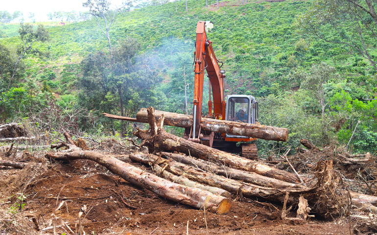 Máy múc được huy động phục vụ công tác khám nghiệm hiện trường vụ phá rừng