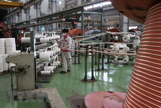 Hoạt động sản xuất tại Nhà máy Bắc Dương, chi nhánh Công ty Cổ phần Dây và Cáp điện Thượng Đình. (Ảnh: Mạnh Minh/TTXVN)