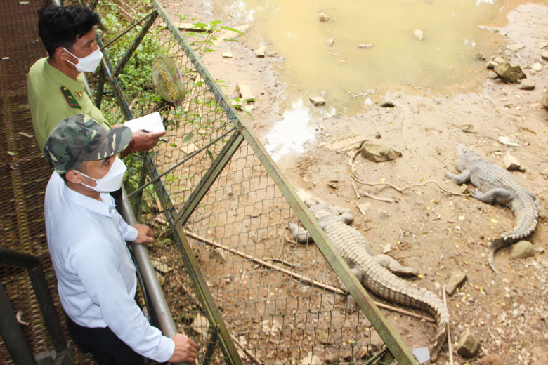 Cán bộ Hạt Kiểm lâm Đạ Huoai kiểm tra tình hình gây nuôi động vật hoang dã trên địa bàn