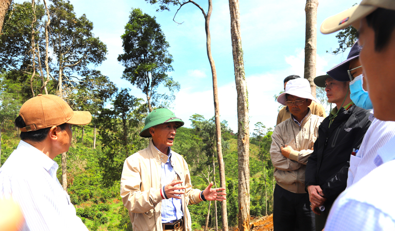 Chủ tịch UBND tỉnh Lâm Đồng Trần Văn Hiệp chỉ đạo trực tiếp tại hiện trường vụ phá rừng