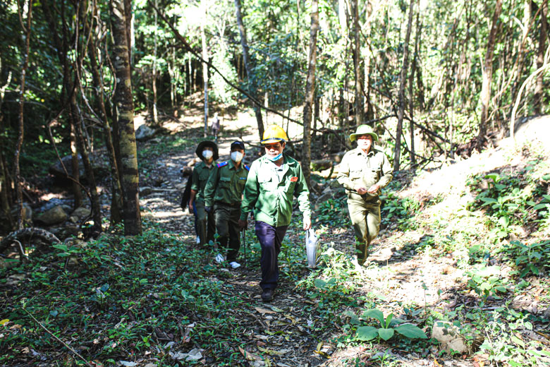 Cán bộ Trạm Quản lý chuyên trách Bảo vệ rừng số 1, Ban Quản lý rừng phòng hộ Đại Ninh cùng các hộ dân tham gia nhận khoán đi tuần tra rừng tại khu vực núi Voi