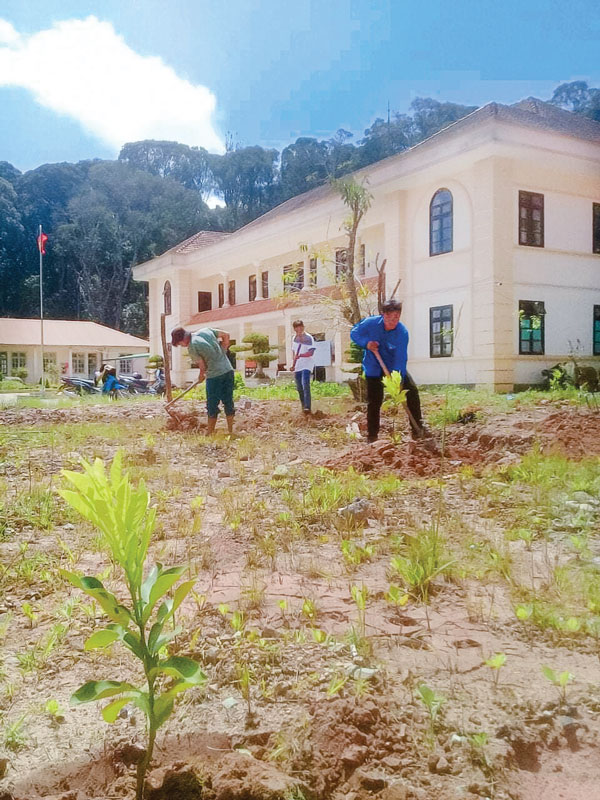 Đoàn viên, thanh niên xã Đưng K’Nớ trồng cây trong Vườn cây sinh kế