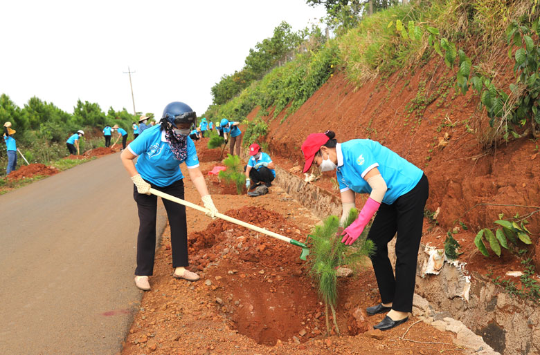 Bảo Lộc: Trên 2.000 cây xanh đã được trồng mới