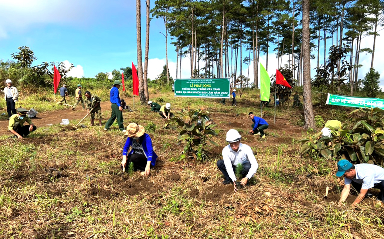 Sau lễ phát động, huyện Bảo Lâm trồng 5.600 cây phân tán, cây rừng tại xã Lộc Ngãi