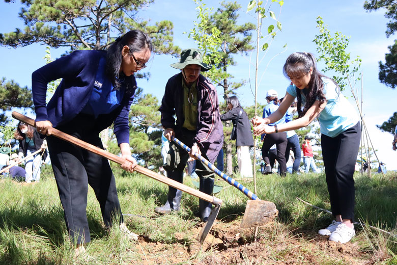 Nữ sinh tham gia Dự án Mở đường đến tương lai trồng cây "Gieo mầm xanh tươi"