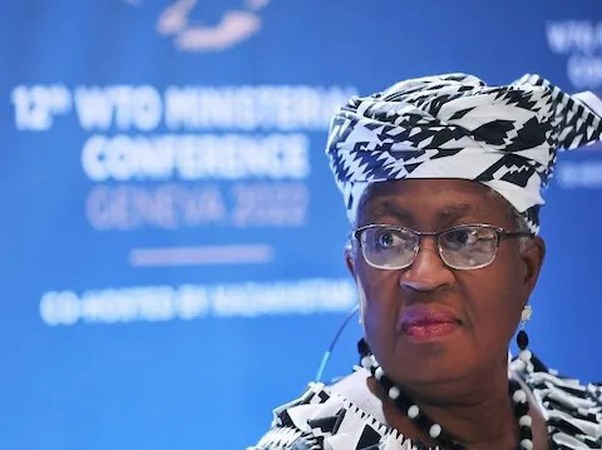 Tổng Giám đốc WTO Ngozi Okonjo-Iweala.