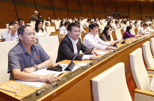 Đoàn đại biểu Quốc hội tỉnh Quảng Ngãi biểu quyết. 