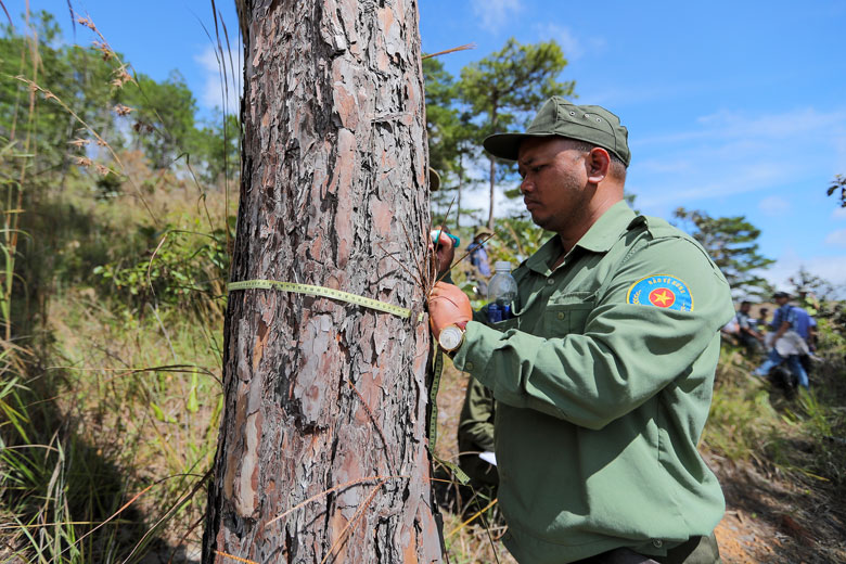 Các đơn vị chức năng kiểm tra, đo đạc rừng bị lấn chiếm khu vực quanh hồ chứa nước Ta Hoét, huyện Đức Trọng