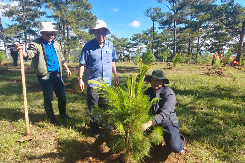 Các đơn vị cùng tham gia trồng cây thông trên đồi Đa Phú