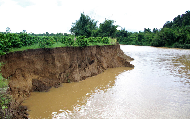 Bờ sông Đồng Nai qua địa bàn huyện Cát Tiên đang sạt lở nghiêm trong uy hiếp đất sản xuất và cây trồng của người dân