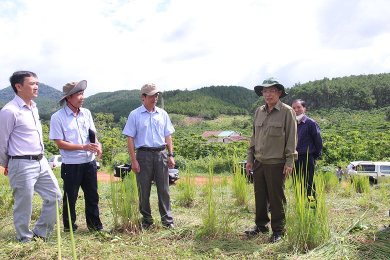 Phó Chủ tịch UBND tỉnh Lâm Đồng Đặng Trí Dũng kiểm tra công tác quản lý, bảo vệ rừng tại huyện Bảo Lâm