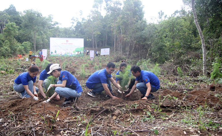 Tuổi trẻ Khối Doanh nghiệp ra quân ngày Chủ nhật xanh trồng cây rừng tại xã Bảo Thuận (Di Linh)