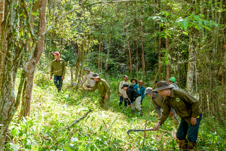 Ban QLRPH Lâm Hà nỗ lực nâng cao hiệu quả công tác quản lý, bảo vệ rừng