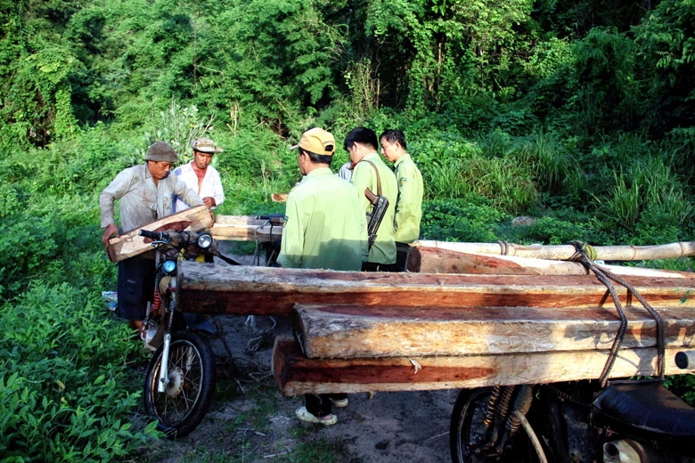 Bắt quả tang lâm tặc vận chuyển gỗ khai thác trái phép trên đường chở về tỉnh Bình Thuận