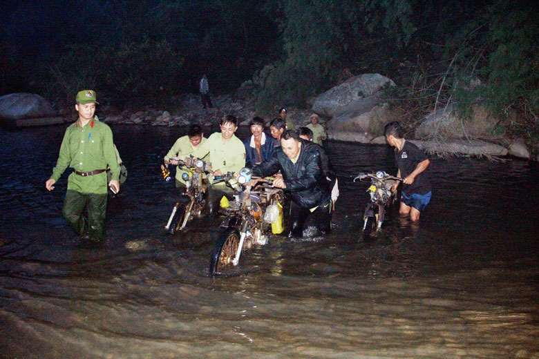 Kiểm lâm và Công an Lâm Đồng phối hợp truy quét lâm tặc tại rừng giáp ranh Lâm Đồng và Bình Thuận