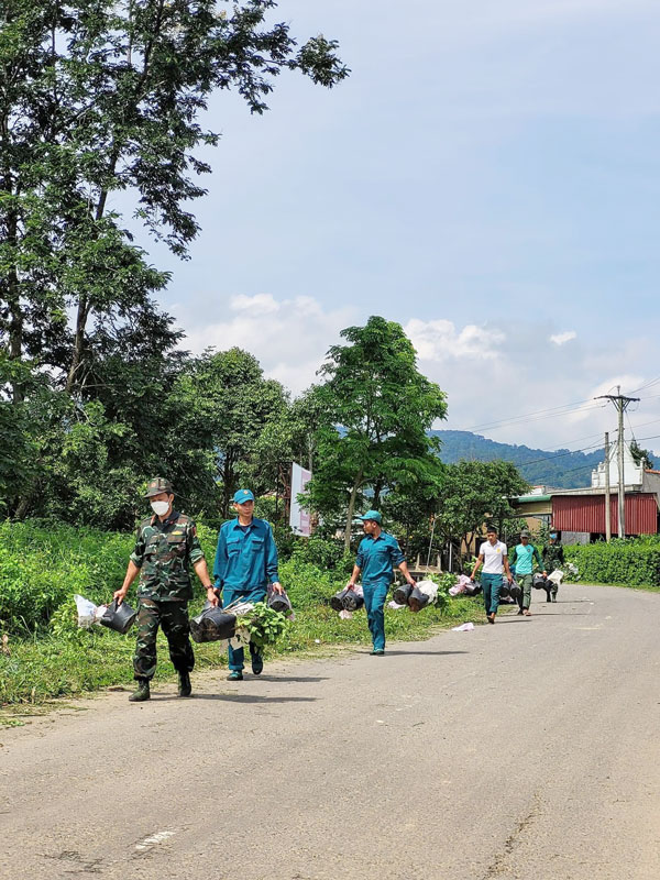 Đoàn Thanh niên Bộ Chỉ huy quân sự tỉnh tham gia trồng cây trong chiến dịch “Hành quân xanh” tại xã Liêng Sronh