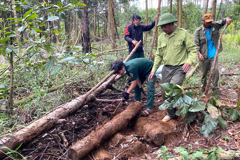 Bảo Lâm: Nhiều hộ dân lấn chiếm đất rừng cộng đồng buộc phải cưỡng chế
