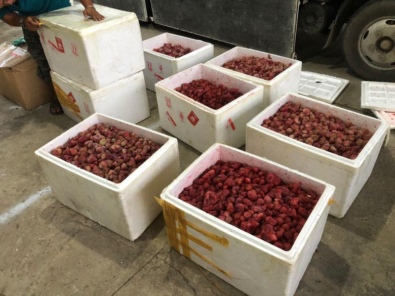 Thu giữ 310 kg dâu tây không rõ nguồn gốc xuất xứ