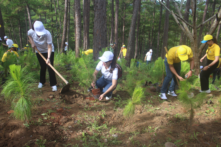 Ra quân trồng 2.000 cây thông tại Đền Hùng - Khu du lịch thác Prenn