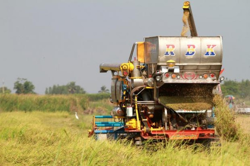 Nông dân sử dụng máy gặt liên hợp tại một cánh đồng ở tỉnh Suphan Buri, Thái Lan