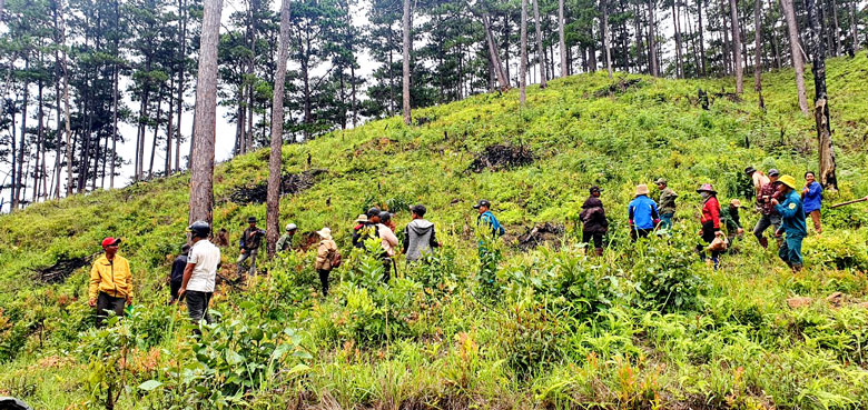 Lực lượng chức năng giải tỏa, trồng lại rừng tại Tiểu khu 122 xã Đạ Chais.