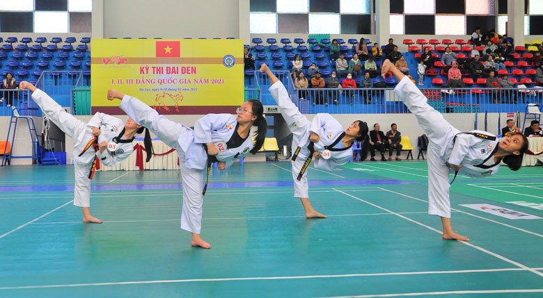 Biểu diễn Taekwondo