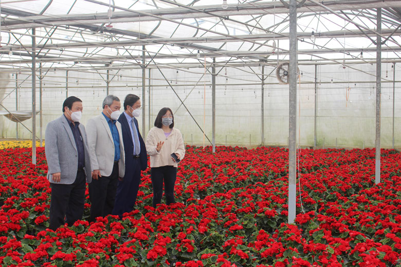 Lãnh đạo HĐND - Ủy ban MTTQ tỉnh, các ngành thăm vườn hoa sản xuất công nghệ cao tại Công ty Dalat Hasfarm