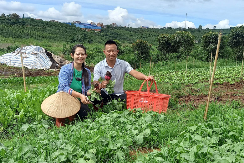 Vợ chồng anh Bùi Ngọc Châu quyết định khởi nghiệp bằng nông nghiệp sạch  với những bước đi bài bản và chắc chắn