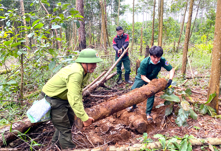 Cơ quan chức năng tiến hành khám nghiệm hiện trường vụ phá rừng tại Khoảnh 6, Tiểu khu 438A (xã Lộc Phú)