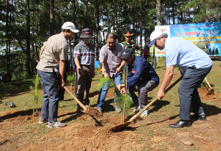 Các đại biểu tham dự trồng cây tại Lạc Dương hưởng ứng chương trình trồng 50 triệu cây xanh trên địa bàn tỉnh Lâm Đồng