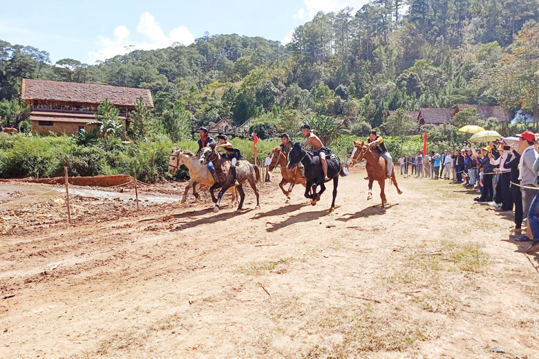 Giải đua ngựa không yên tổ chức tại Mùa hội cỏ hồng Lang Biang