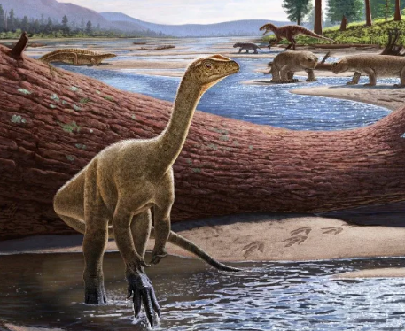 Phát hiện bộ xương khủng long cổ xưa nhất tại châu Phi