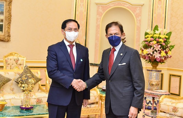 Bộ trưởng Ngoại giao Bùi Thanh Sơn tiếp kiến Quốc vương Sultan Haji Hassanal Bolkiah tại Hoàng cung Istana Nurul Iman