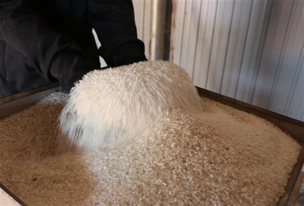 EU công bố thuế nhập khẩu gạo xát là 65 EUR/tấn. Ảnh minh họa