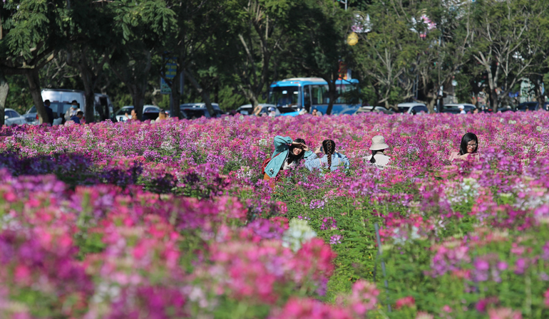Một góc công viên Ánh Sáng, đường Nguyễn Văn Cừ (Phường 1, TP Đà Lạt) “sáng, xanh, sạch, đẹp”chào mừng “Festival Hoa Đà Lạt lần thứ IX - năm 2022