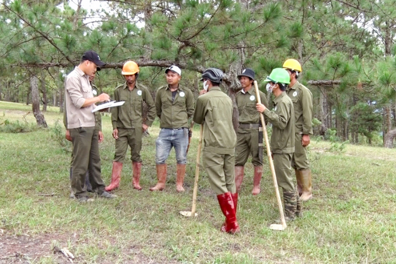 Hiệu quả chính sách chi trả dịch vụ môi trường rừng ở Tà Nung