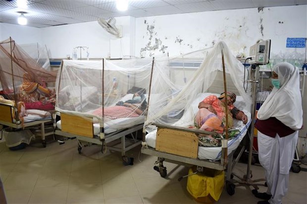 Bệnh nhân mắc sốt xuất huyết được điều trị tại bệnh viện ở Lahore (Pakistan), ngày 23/9/2022