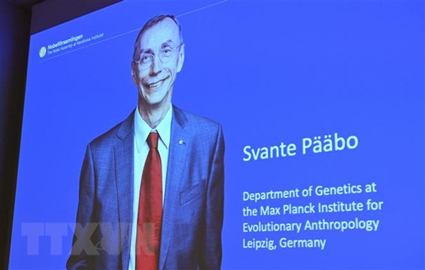 Chân dung nhà khoa học Thụy Điển đoạt giải Nobel Y sinh 2022 Svante Paabo tại Viện Karolinska ở Stockholm (Thụy Điển), ngày 3/10/2022