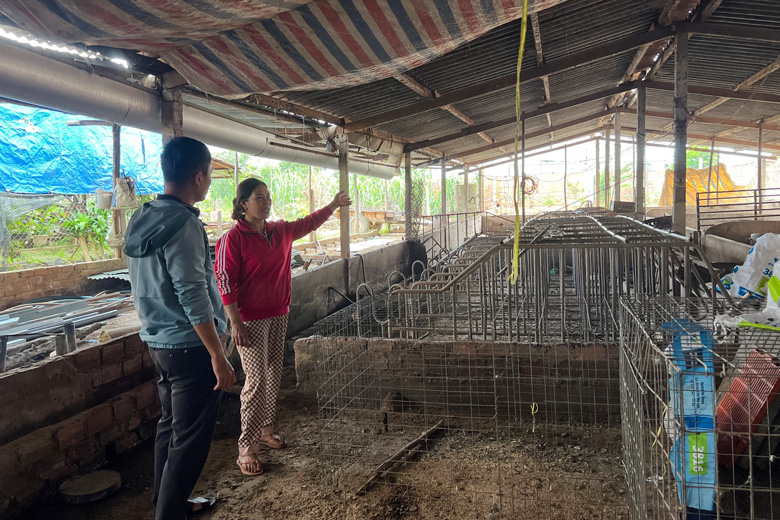 Bà Nguyễn Thị Tần (tổ dân phố Quảng Đức, thị trấn Đinh Văn) đã di dời toàn bộ khu chăn nuôi của mình ra khỏi khu dân cư