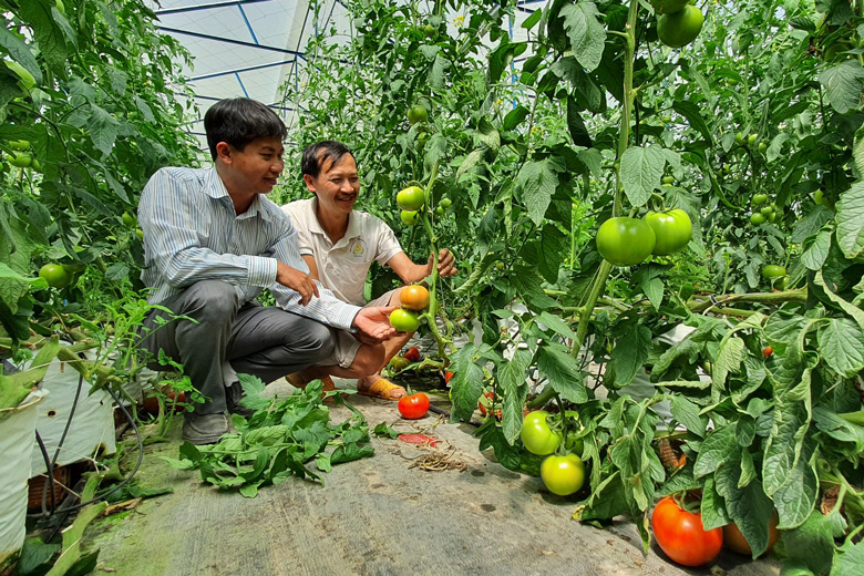 Dựa trên đặc thù của địa phương, Đam Rông cũng đặc biệt quan tâm phát triển nguồn nhân lực khu vực nông nghiệp
